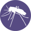 realtime-pcr-tropische-vector-borne-krankheiten